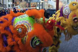 Lion dancers prance through Chinatown on Friday, Feb. 14, 2016 in celebration of the Chinese New Year. (WTOP/Dick Uliano)