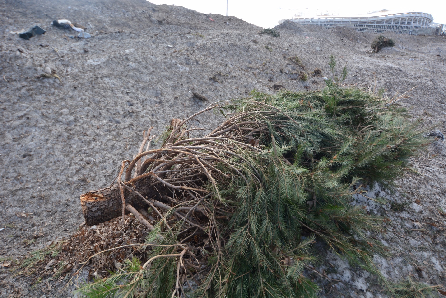 One of the most common forms of debris are Christmas trees that were scooped off of curbs along with nearly 2,295 lane miles of snow. (WTOP/Dave Dildine)
