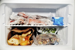 Freezer compartment of a refrigerator