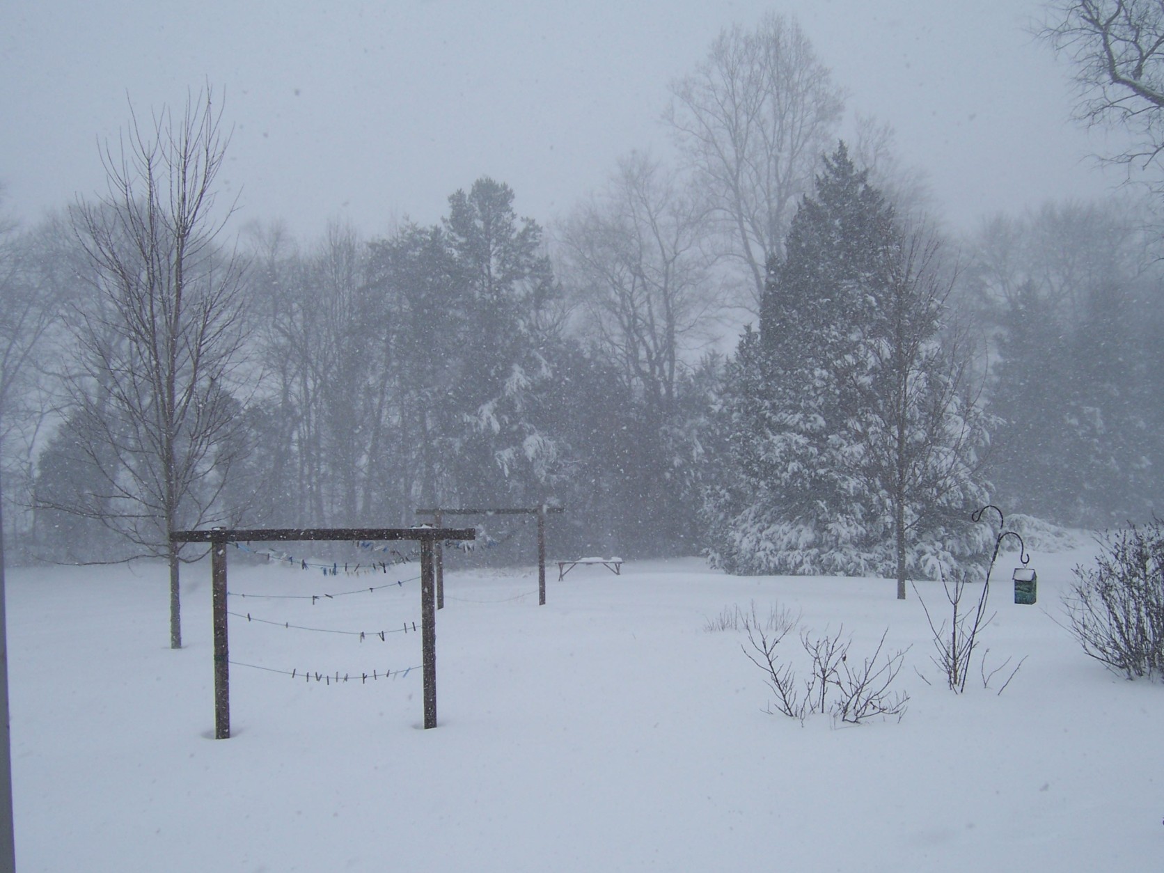 A WTOP listener sent in this photo of snow fall in Madison, Va. on Monday, Feb. 15, 2016. (submitted photo)