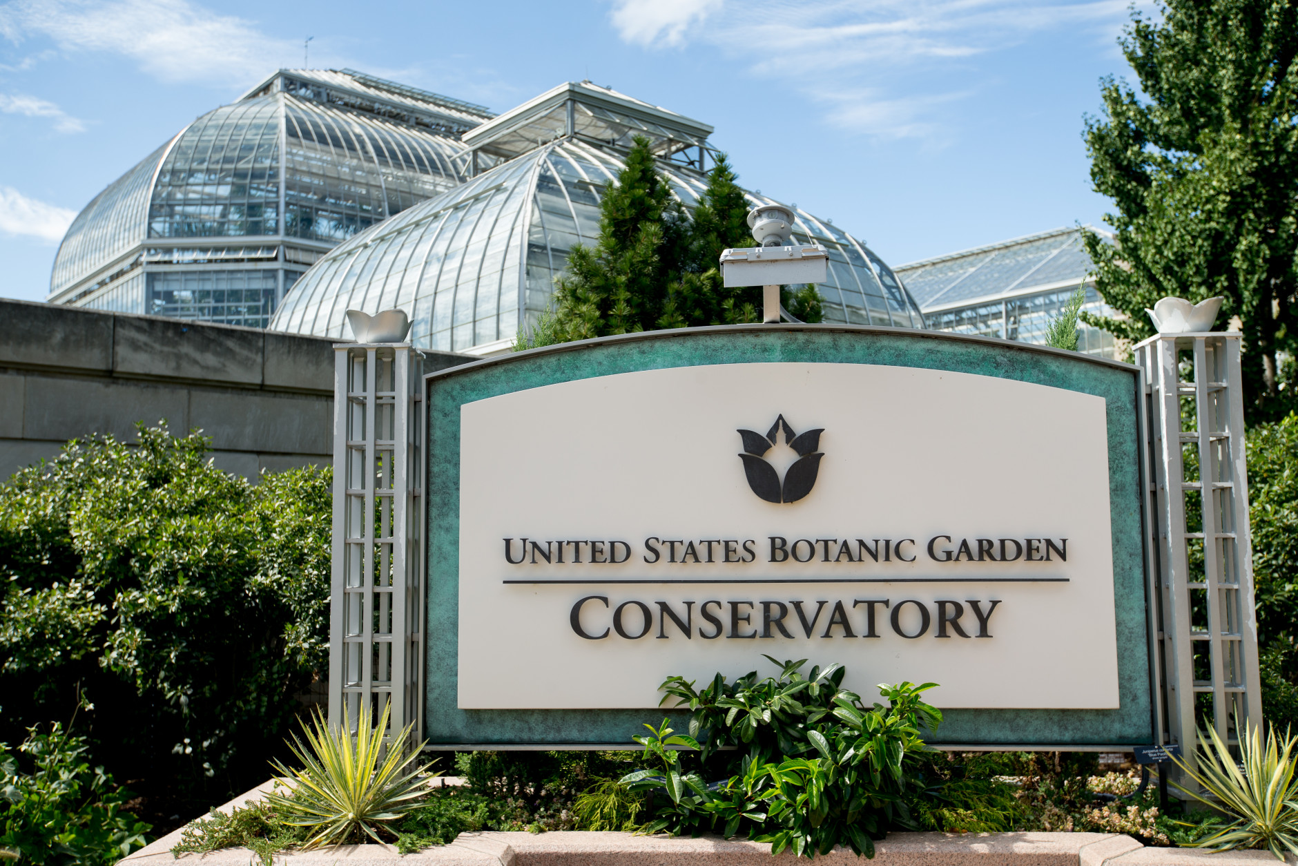 United States Botanic Garden, Wednesday, Aug. 19, 2015, in Washington. (AP Photo/Andrew Harnik)