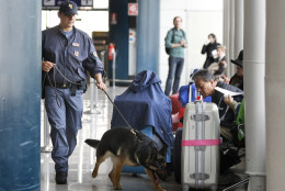 A Italian police dog sniffs passengers' luggage at Leonardo Da Vinci airport in Fiumicino, near Rome, Tuesday, March 22, 2016. Authorities in Europe and beyond have tightened security at airports, on subways, at the borders and on city streets after deadly attacks Tuesday on the Brussels airport and its subway system. (AP Photo/Alessandra Tarantino)