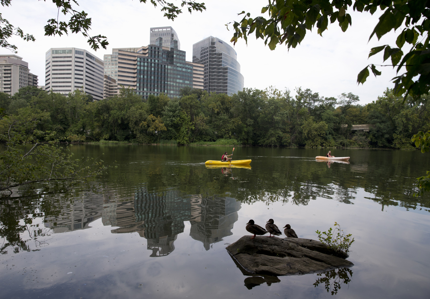 The move will consolidate 994 existing Grant Thornton jobs to 1000 Wilson Blvd. in Rosslyn. (AP Photo/Carolyn Kaster)