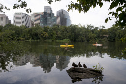 The move will consolidate 994 existing Grant Thornton jobs to 1000 Wilson Blvd. in Rosslyn. (AP Photo/Carolyn Kaster)