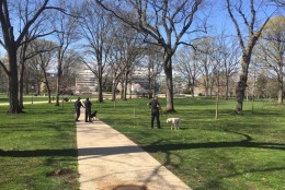 Police with K9 officers patrol a park near the U.S. Capitol on the afternoon of March 28, 2016, after gunfire in the Visitors Center. (WTOP/Mike Murillo)