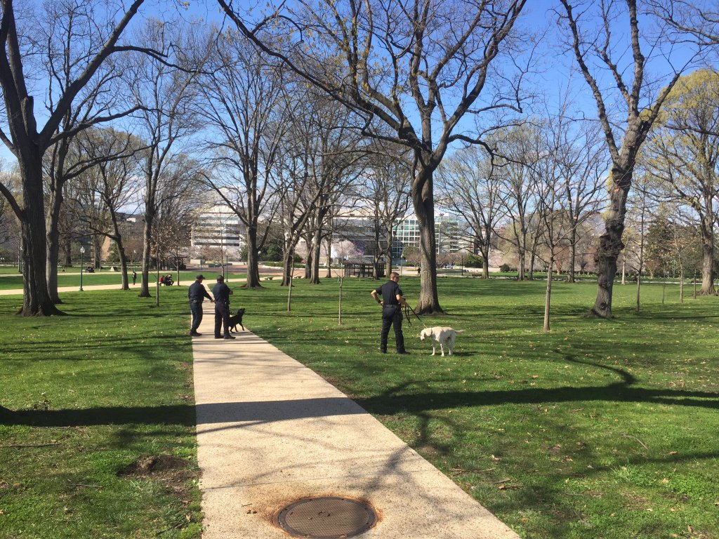 Police with K9 officers patrol a park near the U.S. Capitol on the afternoon of March 28, 2016, after gunfire in the Visitors Center. (WTOP/Mike Murillo)
