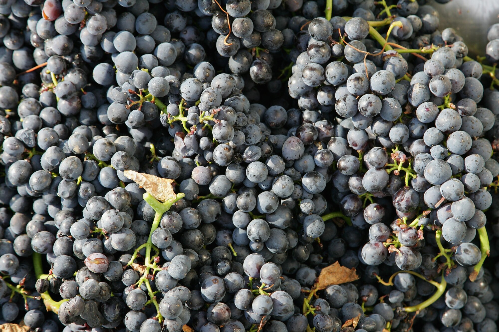 4 top mother-daughter getaway ideas