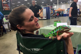 "Cloak" the lizard at the Super Pet Expo. (WTOP/Mike Murillo)
