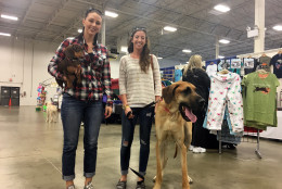 Valerie Warriner (left), from Herndon, with one of her two Dachshunds and Kelsey Scott (right), from Haymarket, and her Great Dane, Dakota. (WTOP/Mike Murillo)