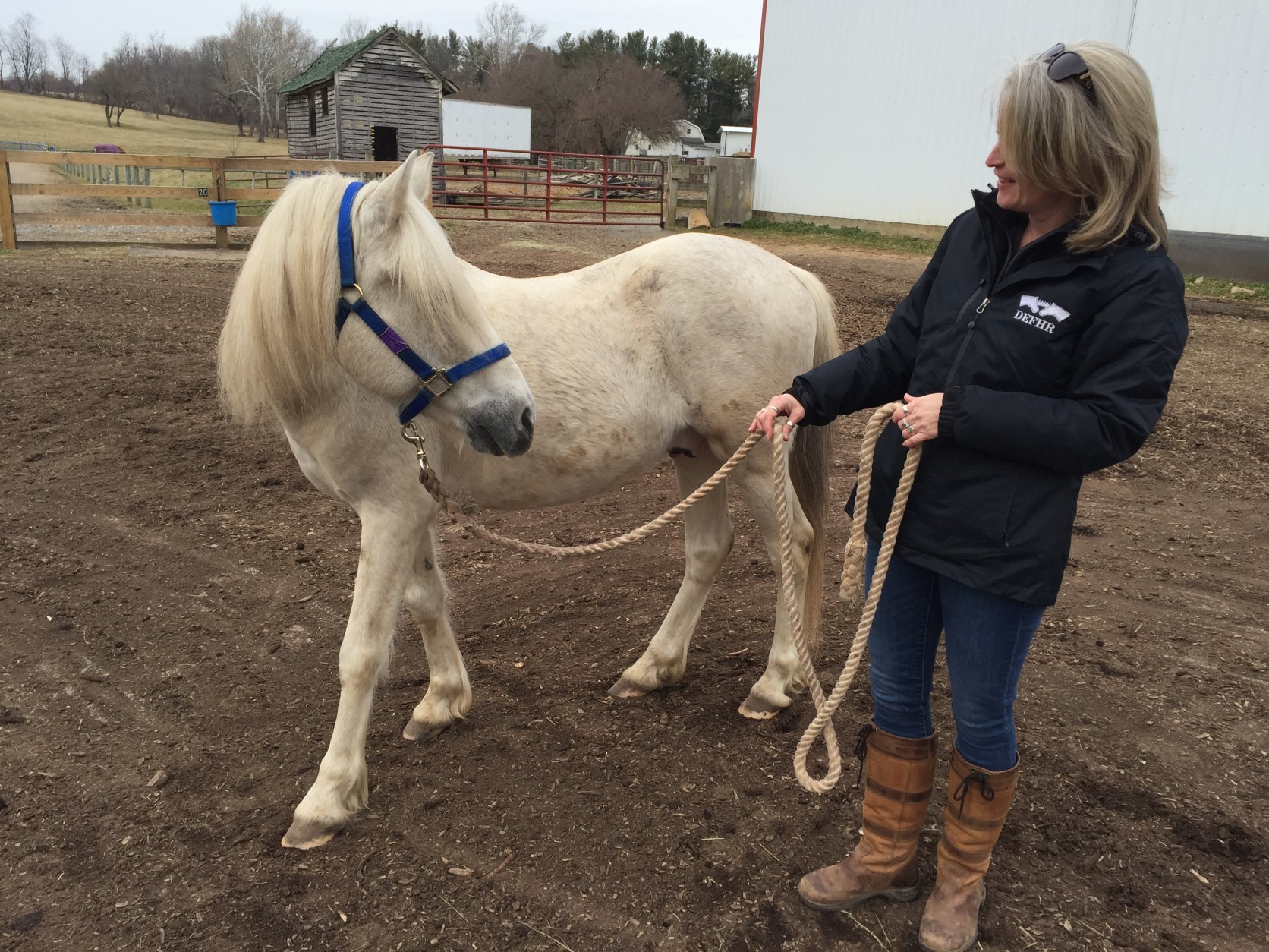 When he was rescued, Quest was found in an enclosure walking on more four feet of manure and hay. He had severe hoof neglect, but has made "miraculous" progress.  (WTOP/Michelle Basch)