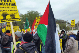 Pro Palestine Protest