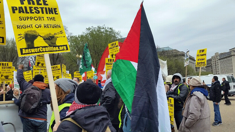 Pro Palestine Protest