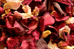dried rose petals, background, square format