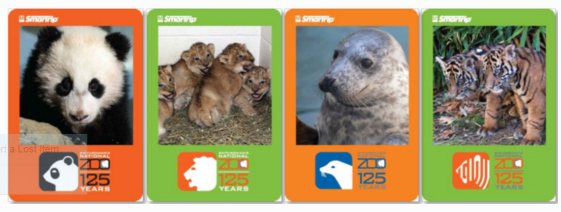 A line of SmarTrip cards to commemorate the 125th Anniversary of the National Zoo. (WMATA)