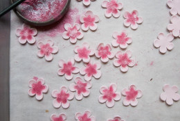 Photo of painted cherry blossoms drying out