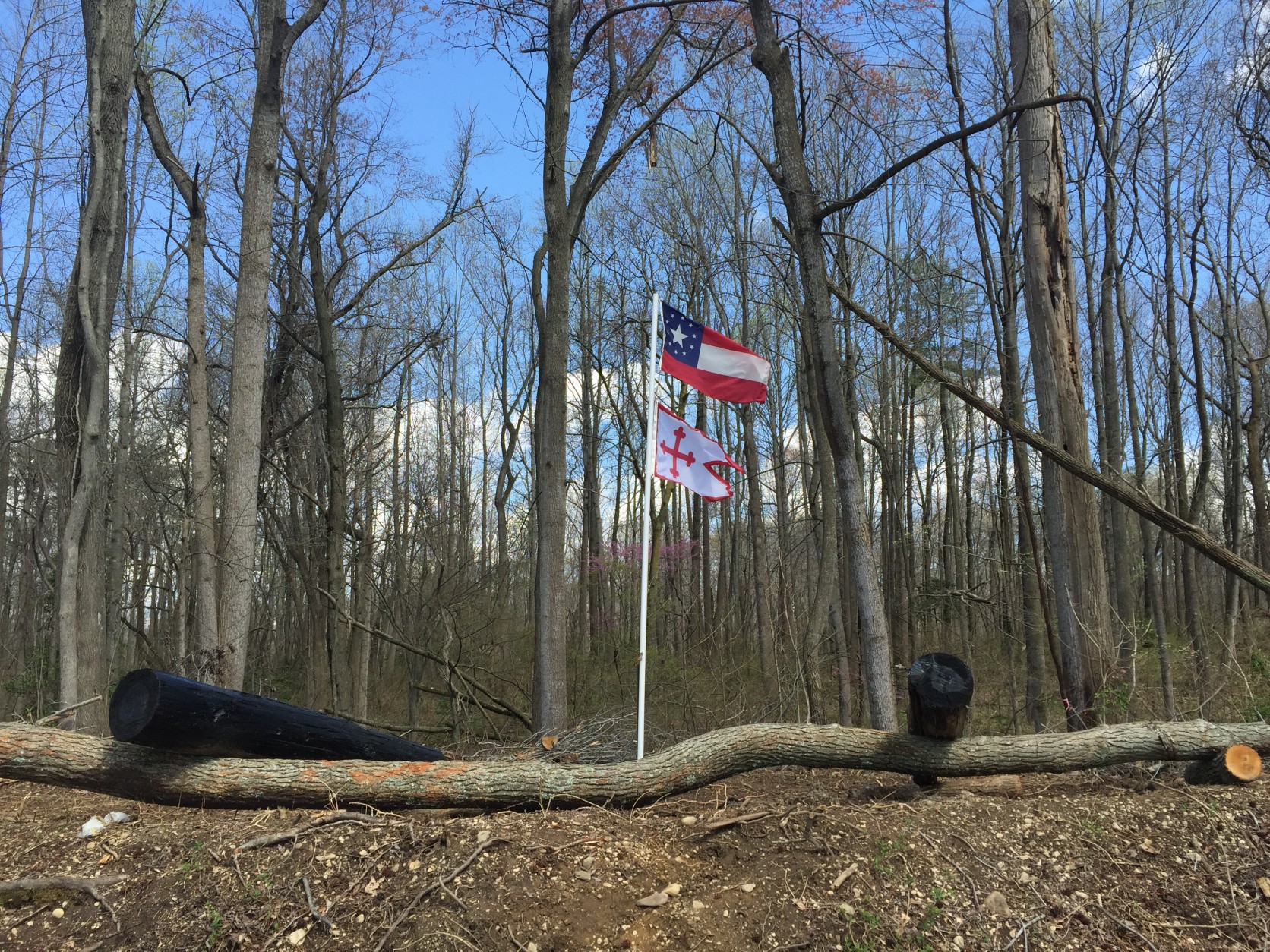 The flags can be seen about 40 feet behind the sign welcoming people to St. Mary's County. (WTOP/Michelle Basch)
