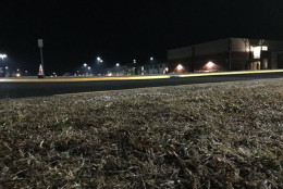A closer look at the grass at Patriot High School in Nokesville, Va. (WTOP/Dennis Foley)