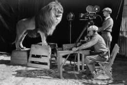 A cameraman and a sound technician record the roar of Leo the Lion for MGM's famous movie logo. The footage was first used on MGM's first talking picture 'White Shadows in the South Seas'.  (Photo via John Kobal Foundation/Getty Images)