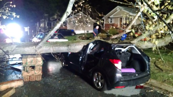 High winds wreak havoc with downed trees, power lines in D.C. Metro area