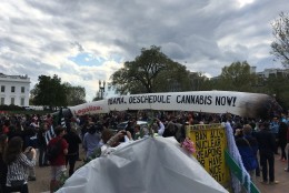 Pro-marijuana activists outside the White House on Saturday, March 2, 2016 were ordered by police to fold up this 51-foot inflatable "joint," due to a security risk. (Photo courtesy Josh Godaire)