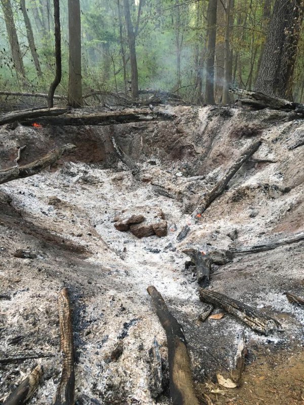 A brush fire in Bowie, Maryland, Sunday might have been caused by a meteor. (Courtesy Bowie Volunteer Fire Department)