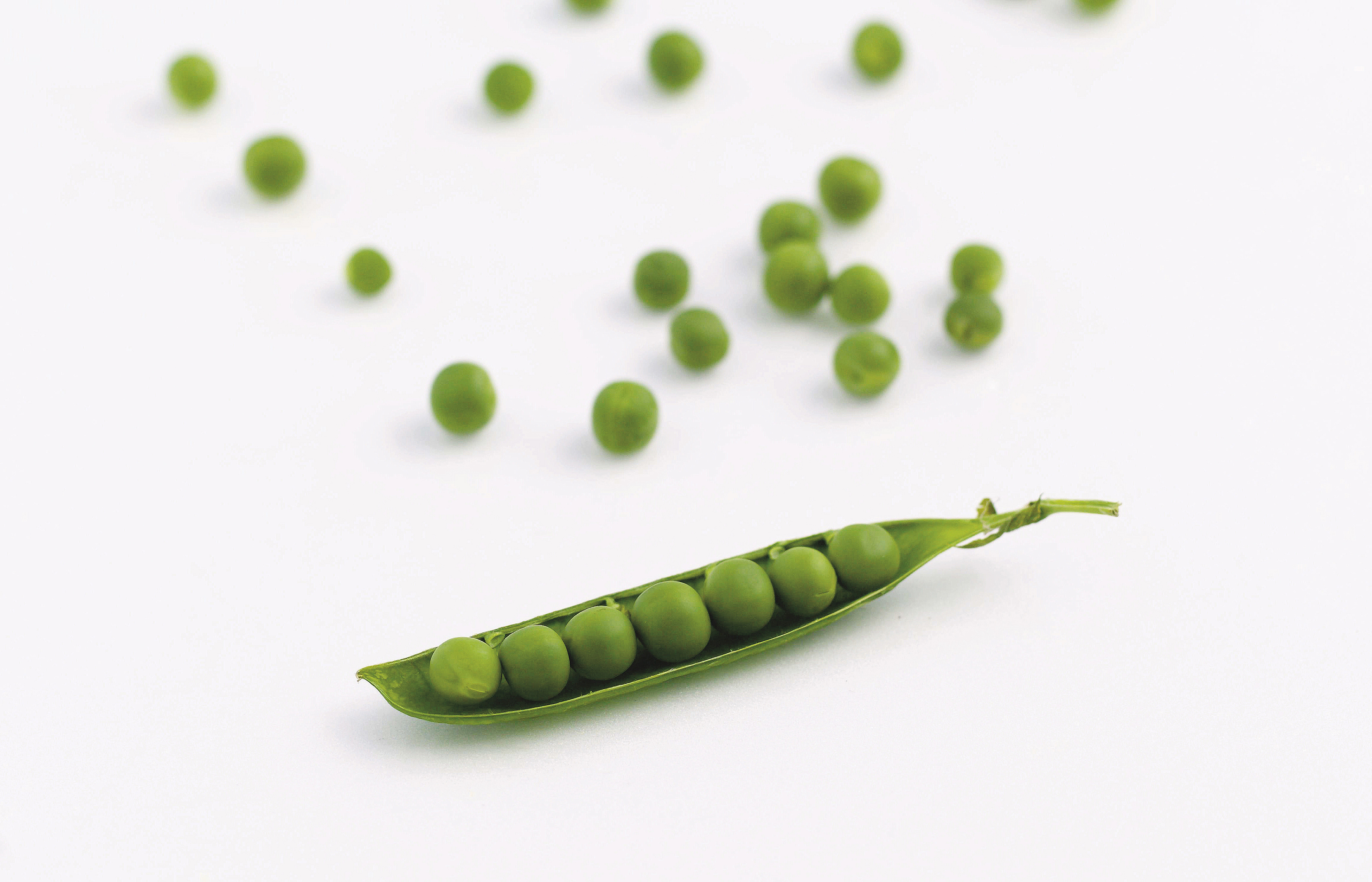 Pea milk: Plant-based, protein-rich and planet-friendly