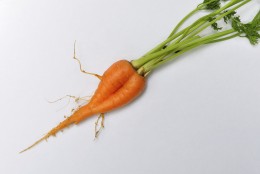 Pair of ripe carrots on a white background
