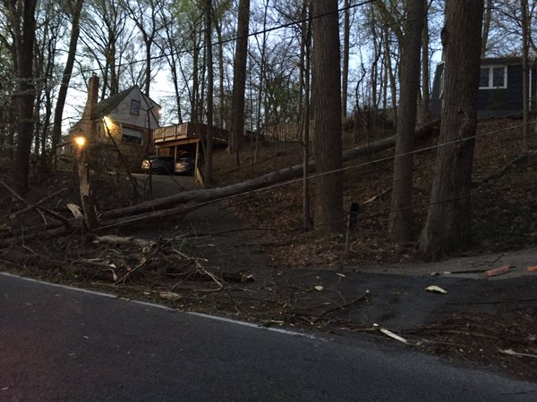 WTOP reporter Dennis Foley took photos of some of the overnight wind damage in Takoma Park, Maryland. A wind storm knocked down trees and left thousands without power overnight Saturday, April 2, 2016. (WTOP/Dennis Foley)