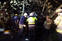 Rescuers from the College Park Fire Department work to free a person who was trapped after a tree fell onto a car in tthe 9600 block of 49th Ave. in College Park, Md. on Saturday, April 2 , 2016.
(College Park Fire Department via Twitter)