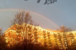 The rainbow spotted in Northwest D.C. on Monday evening. (WTOP/Samantha Loss)