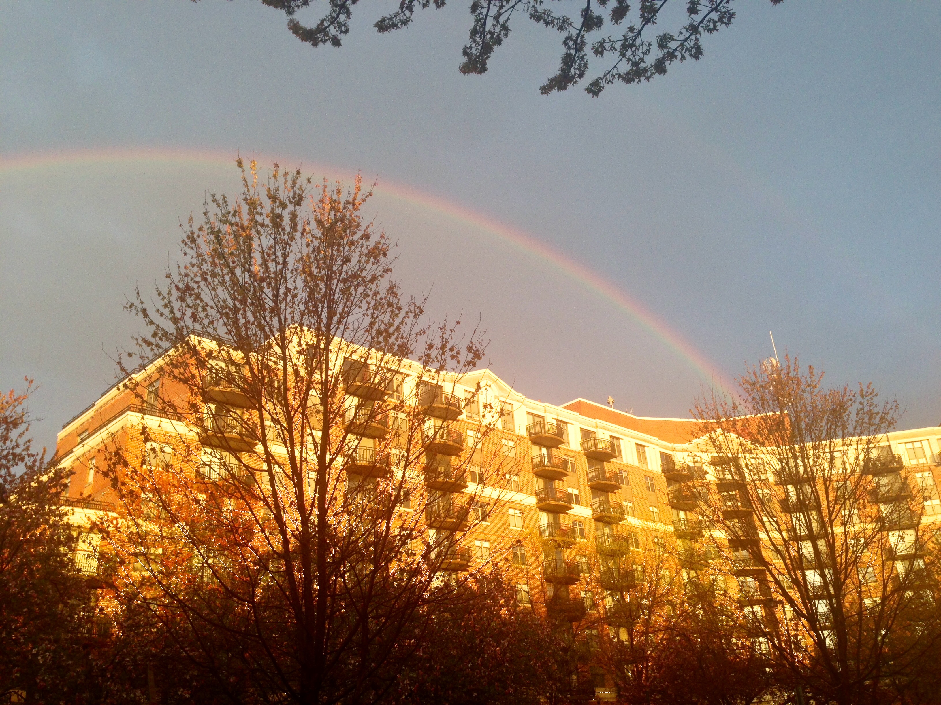 Photos: Rainbow brings color to cloudy Thursday