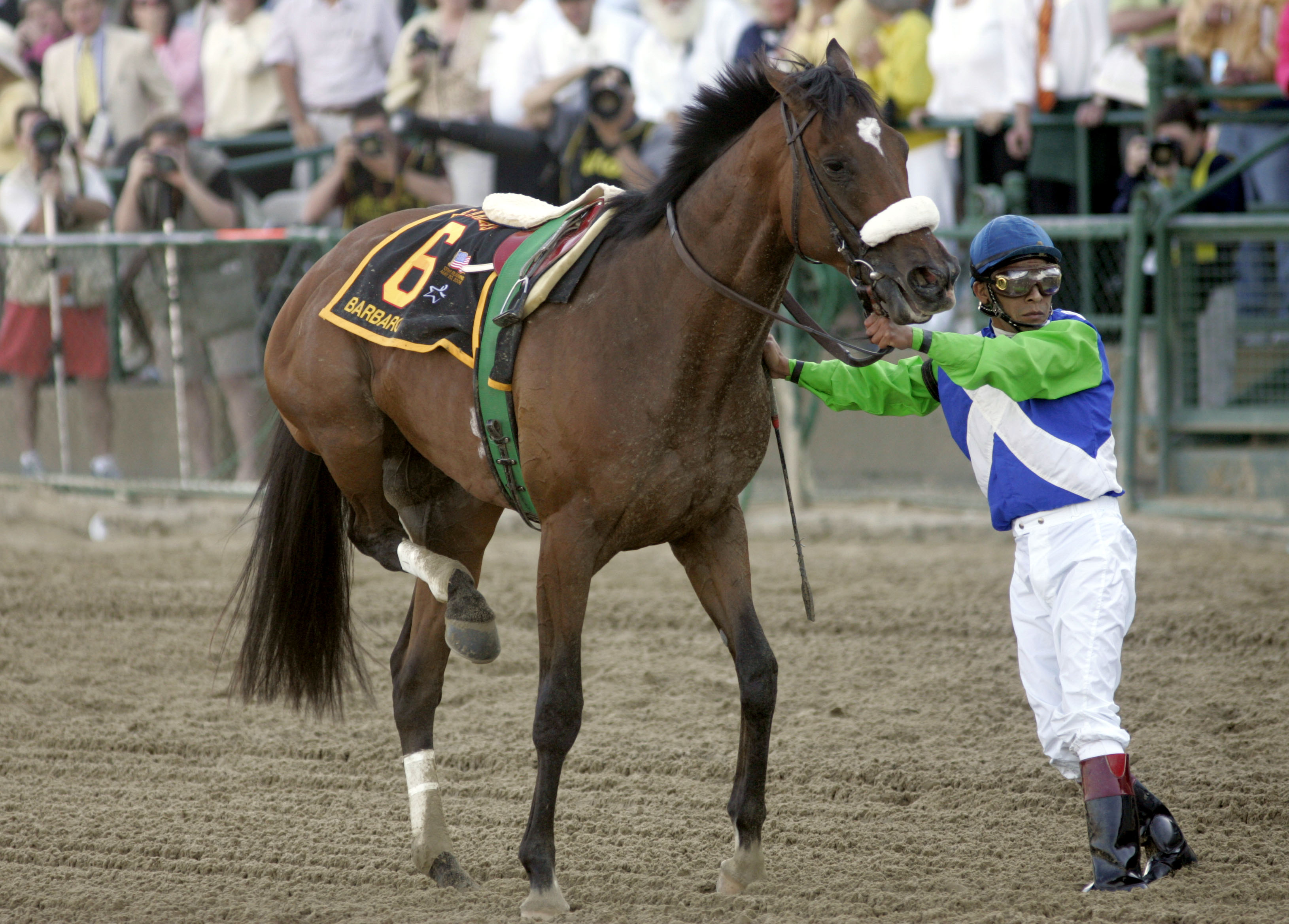 A look at some well-known horse deaths in races ranging from the Kentucky Derby to Breeders’ Cup