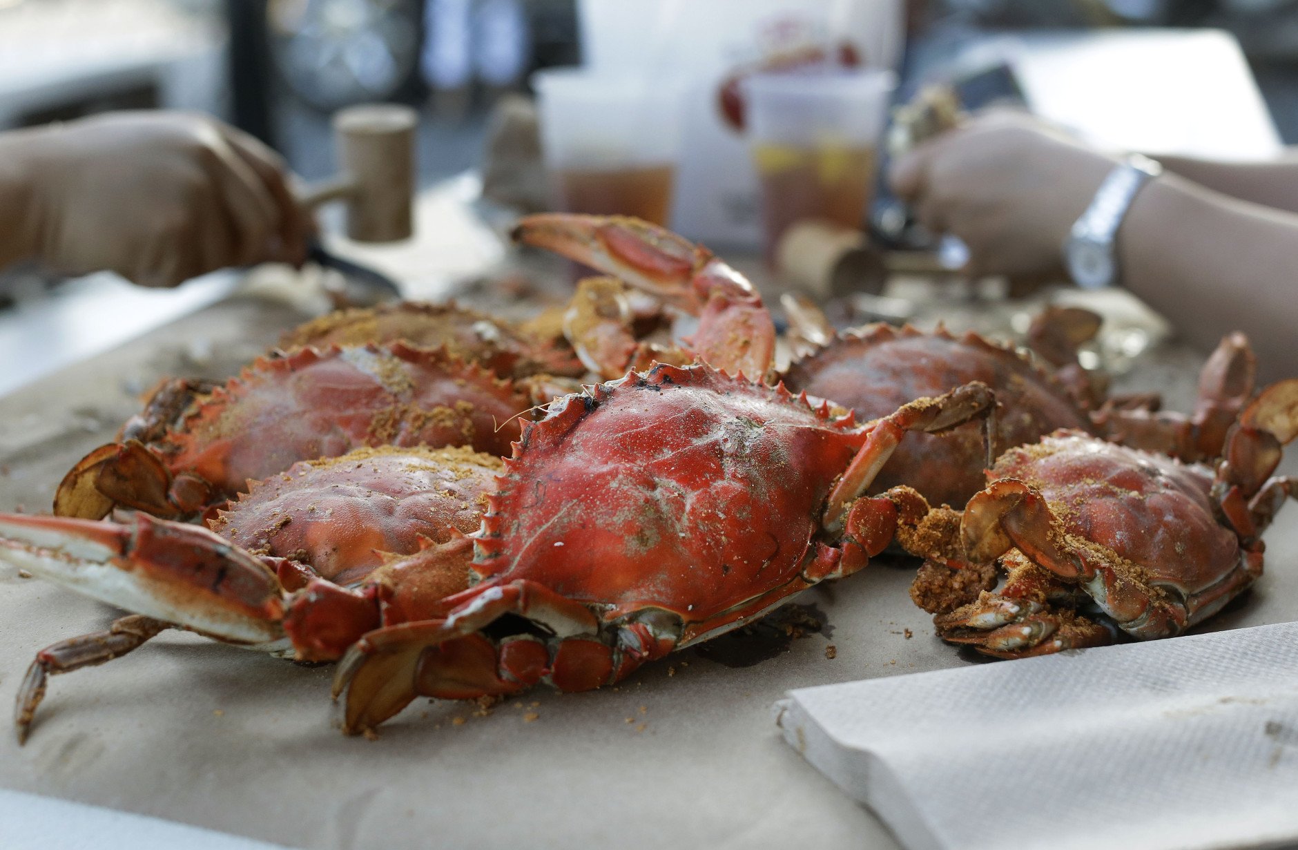 In this May 30, 2014 picture, Wallie Leung, back left, and his wife Jenny eat an order of crabs at Jimmy Cantlers Riverside Inn in Annapolis, Md. (AP Photo/Patrick Semansky)