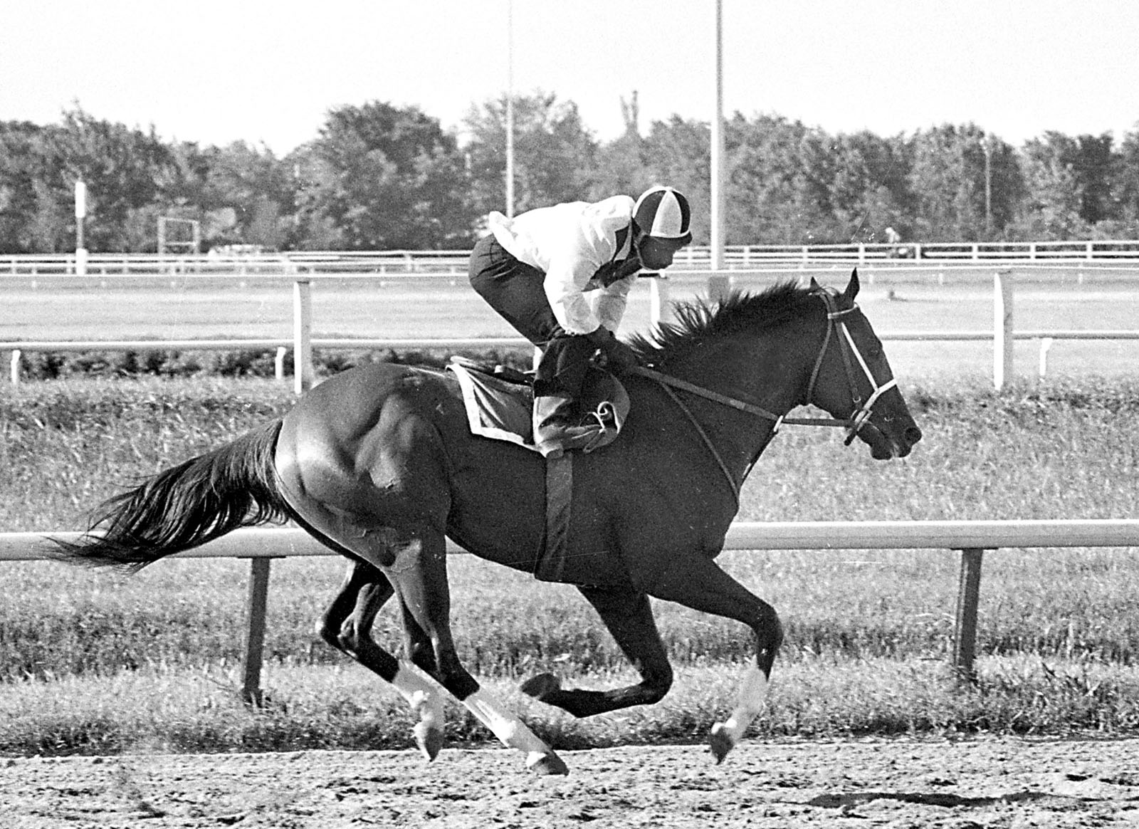 Triple Crown winner Secretariat has four feet in the air as he gallops during a workout with exercise jockey George Davis in saddle at Arlington Park race track in Arlington Heights, Ill., Friday morning, June 29, 1973.  Secretariat, winner of the Kentucky Derby, Preakness, and Belmont Stakes, will take on three other horses in running of the Arlington Invitational Saturday.  (AP Photo)