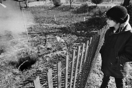 Twelve year old Todd Domboski of Centralia, Pennsylvania, looks over a police barricade at the hole he fell through just hours before photo was taken on Feb. 14, 1981 in Centralia. The hole was caused by a mine fire that?s been burning since 1962. (AP Photo)
