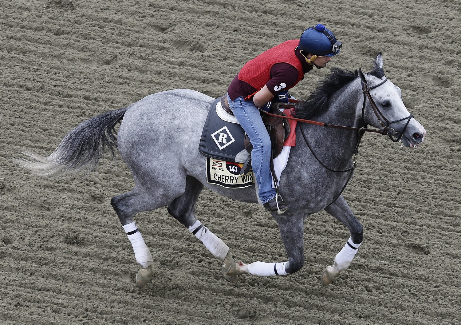 Cherry Wine works out with exercise rider Faustino Aguilar during a morning workout, Thursday, May 19, 2016, in Baltimore. The 141st Preakness Horse Race will be held Saturday.(AP Photo/Garry Jones)