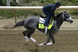 Exercise rider Ovel Merida rides Kentucky Derby hopeful Destin during a workout at Churchill Downs Wednesday, May 4, 2016, in Louisville, Ky. The 142nd running of the Kentucky Derby is scheduled for Saturday, May 7. (AP Photo/Charlie Riedel)