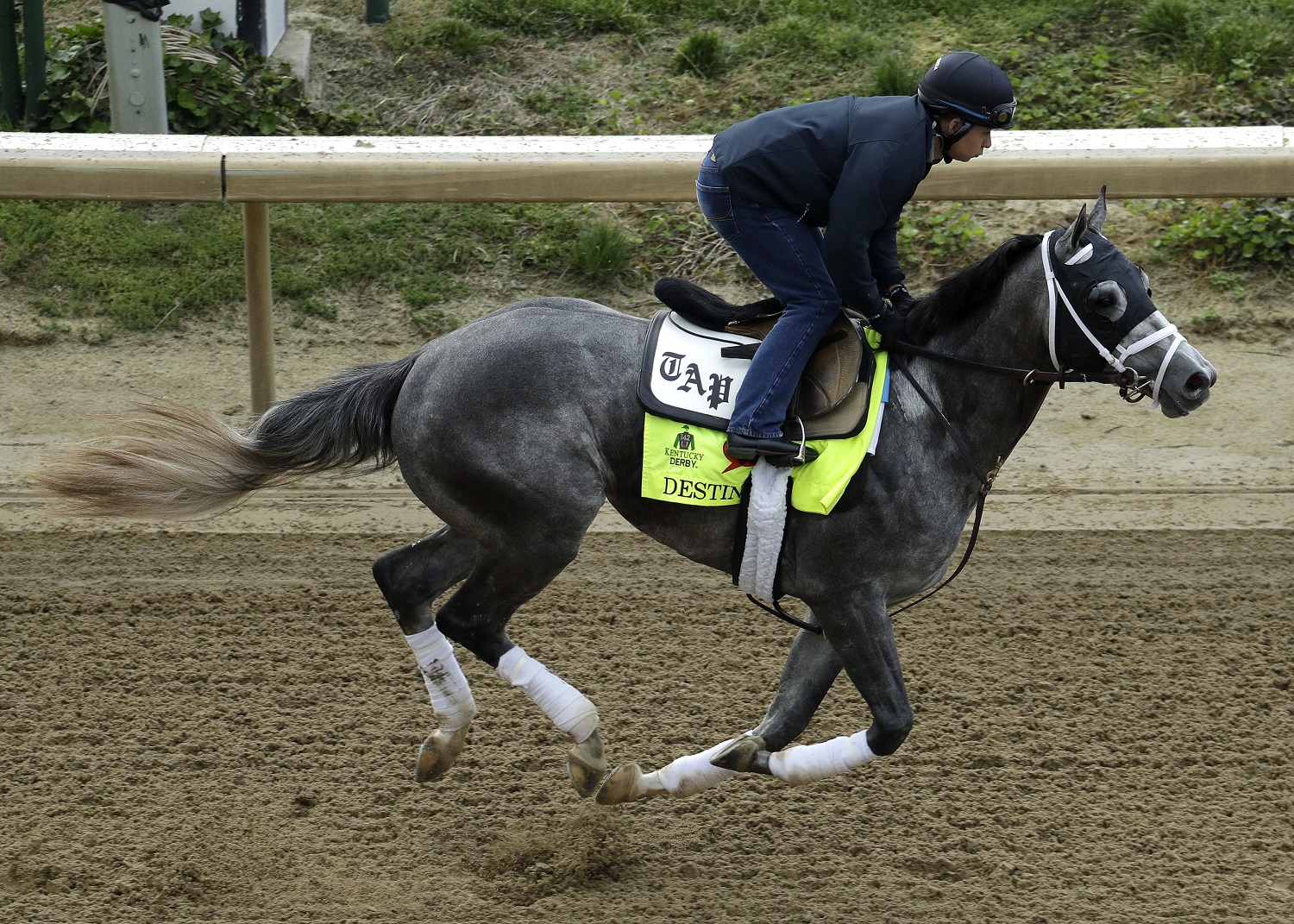 Exercise rider Ovel Merida rides Kentucky Derby hopeful Destin during a workout at Churchill Downs Wednesday, May 4, 2016, in Louisville, Ky. The 142nd running of the Kentucky Derby is scheduled for Saturday, May 7. (AP Photo/Charlie Riedel)