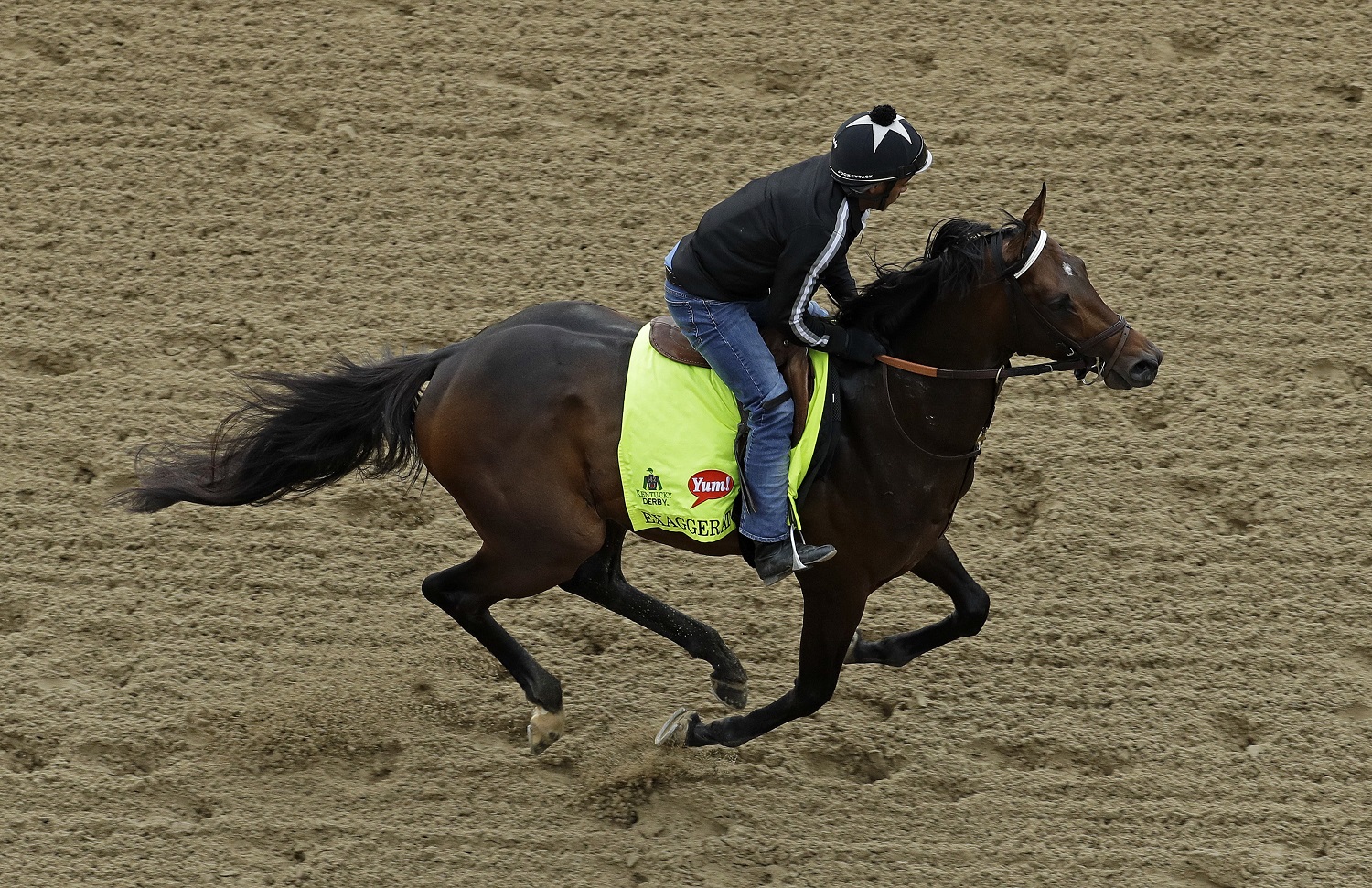 Exercise rider Peedy Landry rides Kentucky Derby hopeful Exaggerator during a workout at Churchill Downs Wednesday, May 4, 2016, in Louisville, Ky. The 142nd running of the Kentucky Derby is scheduled for Saturday, May 7. (AP Photo/Charlie Riedel)