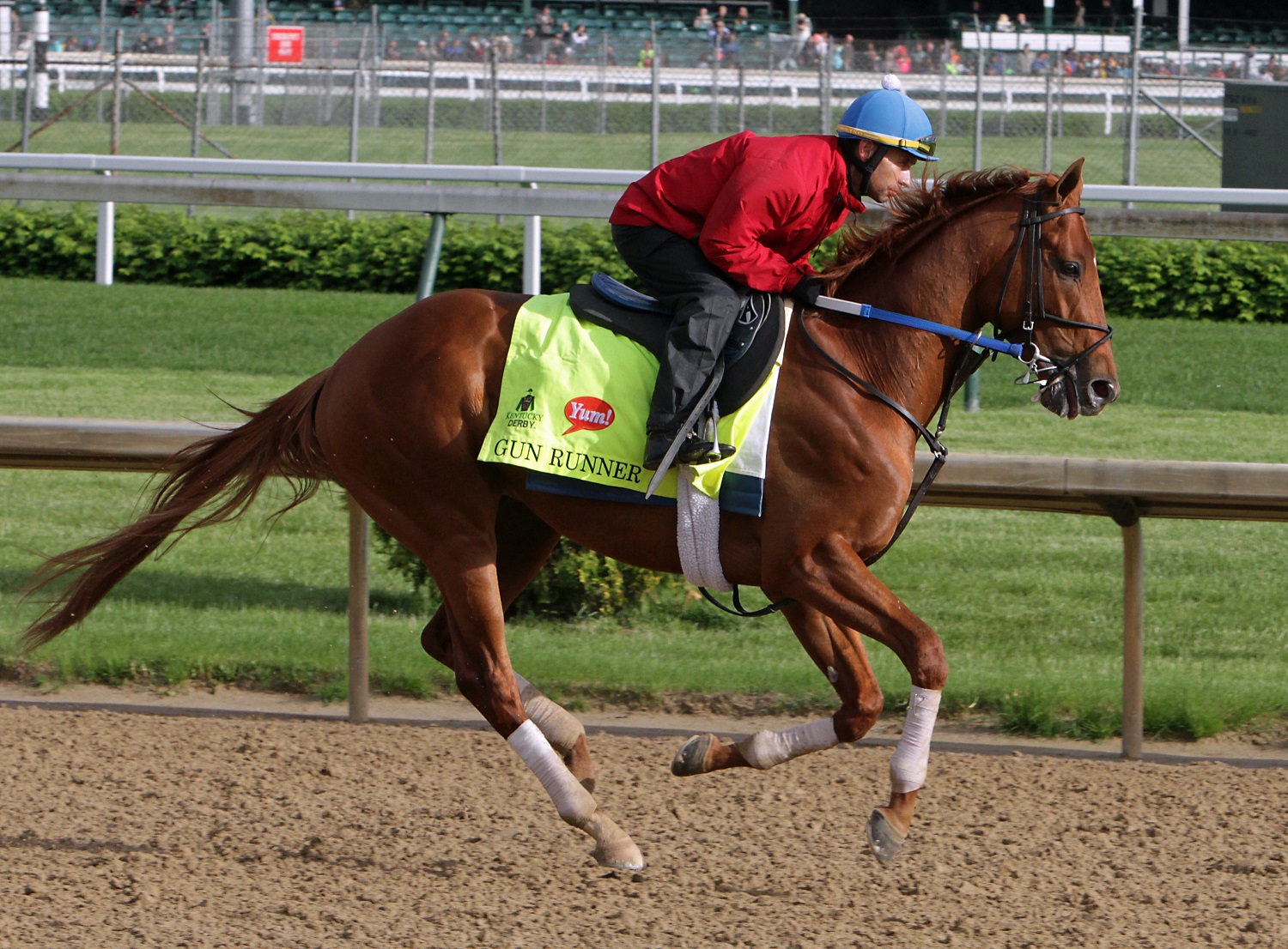 Kentucky Derby entrant Gun Runner, ridden by exercise rider Carlos Rosas, works out at Churchill Downs in Louisville, Ky., Thursday, May 5, 2016. The 142nd Kentucky Derby is Saturday, May 7. (AP Photo/Garry Jones)