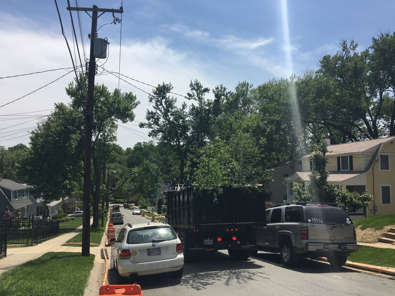 North Bethesda neighborhood is getting an apology from Washington Suburban Sanitary Commission. The area utility company says it failed to adequately warn residents about a plan to remove several mature trees along their street. (WTOP/Mike Murillo)