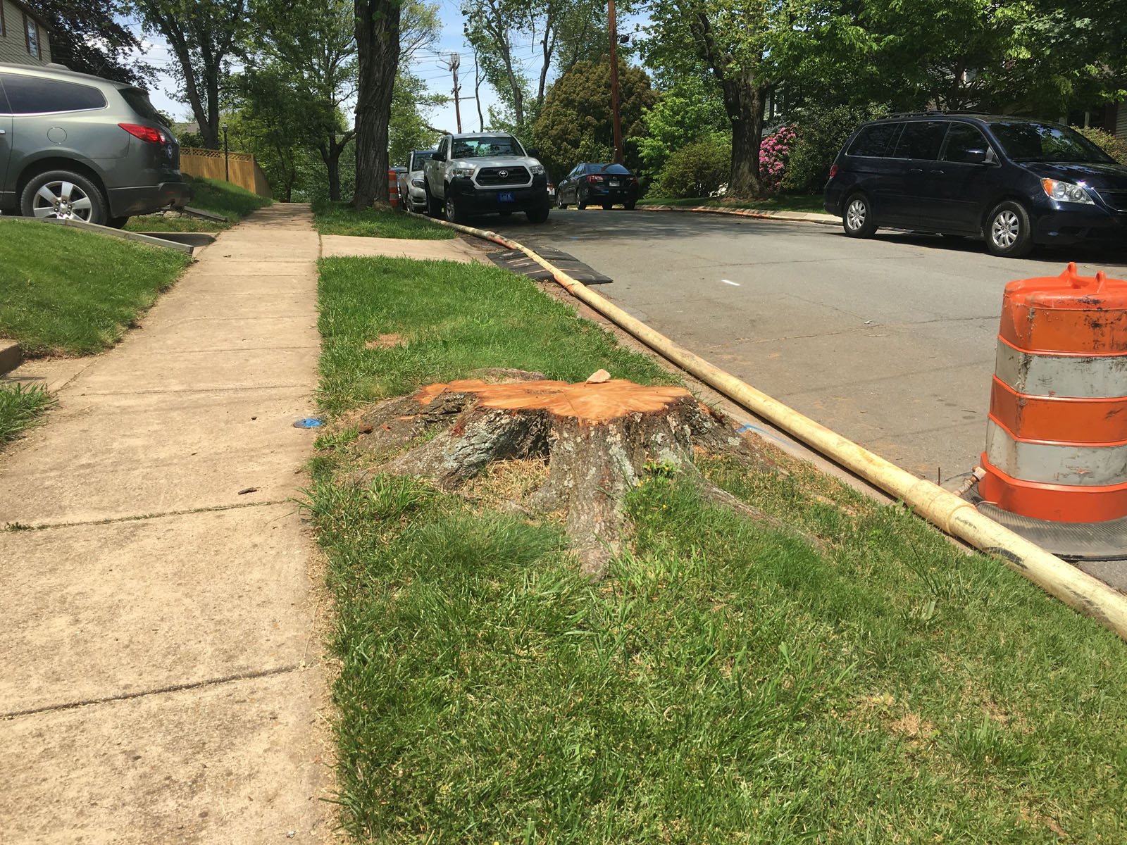 “A number of trees in that neighborhood were taken down before proper notification was given, and that’s absolutely something we apologize for,” said Jerry Irvine, a spokesman for WSSC. (WTOP/Mike Murillo)