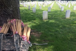 Small American flags rest by a tree at Arlington National Cemetery on Thursday, May 26, 2016. Each year, the 3rd U.S. Infantry Regiment, known as the Old Guard, places hundreds of thousands of flags in front of grave markers to honor fallen soldiers. (WTOP/Rachel Nania)
