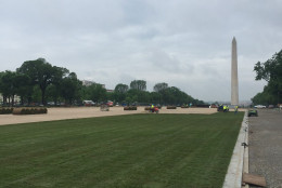 "When it's finished, we'll have from 3rst street all the way to 14th street lush green grass befitting America's front yard," Litterst said. (WTOP/Kristi King)