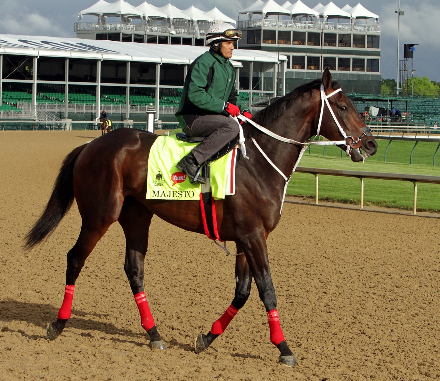 Kentucky Derby entrant Majesto, ridden by exercise rider J.J. Delgado,       walks at Churchill Downs in Louisville, Ky., Thursday, May 5,   2016. The 142nd Kentucky Derby is Saturday, May 7. (AP Photo/Garry Jones)