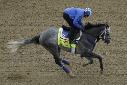 11Exercise rider Miguel Jamie rides Kentucky Derby hopeful Mohaymen during a workout at Churchill Downs Wednesday, May 4, 2016, in Louisville, Ky. The 142nd running of the Kentucky Derby is scheduled for Saturday, May 7. (AP Photo/Charlie Riedel)