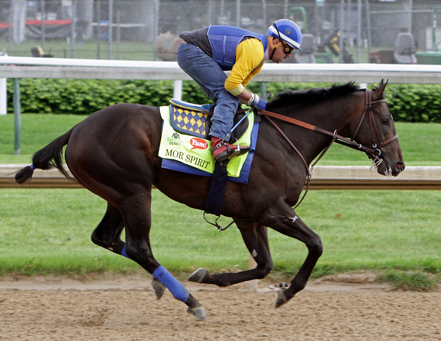 Kentucky Derby entrant Mor Spirit, ridden by George Alvarez, gallops at Churchill Downs in Louisville, Ky., Thursday, May 5,  2016. The 142nd Kentucky Derby is Saturday, May 7. (AP Photo/Garry Jones)