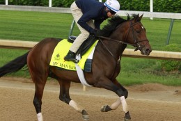 Kentucky Derby hopeful My Man Sam, ridden by exercise rider Daniel Bernardini, gallops at Churchill Downs in Louisville, Ky., Monday, May 2, 2016. The 142nd Kentucky Derby is Saturday, May 7. (AP Photo/Garry Jones)
