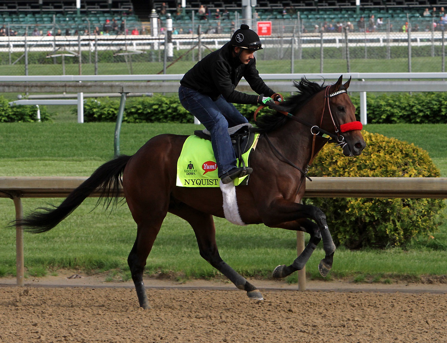 Exercise rider Jonny Garcia rides Kentucky Derby favorite Nyquist during a morning workout at Churchill Downs in Louisville, Ky., Thursday, May 5, 2016. The 142nd Kentucky Derby is Saturday, May 7. (AP Photo/Garry Jones)