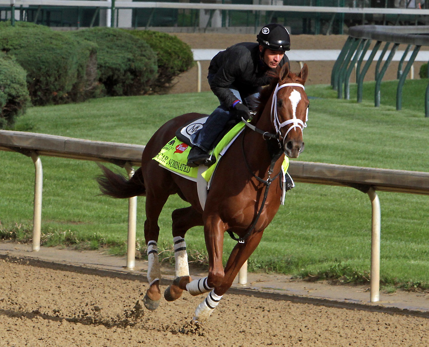 Kentucky Derby entrant Oscar Nominated, ridden by exercise rider Joel Cano, gallops at Churchill Downs in Louisville, Ky., Thursday, May 5, 2016. The 142nd Kentucky Derby is Saturday, May 7. (AP Photo/Garry Jones)